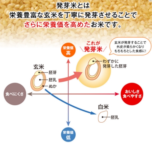 �t�@���P������Җ]�̃v���O�����o��I�����ȑ��ʃZ�b�g�I�y�t�@���P���̔���āz ���T�C�g