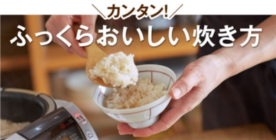 �t�@���P������Җ]�̃v���O�����o��I�����ȑ��ʃZ�b�g�I�y�t�@���P���̔���āz ���T�C�g