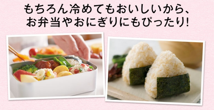 �t�@���P������Җ]�̃v���O�����o��I�����ȑ��ʃZ�b�g�I�y�t�@���P���̔���āz ���T�C�g